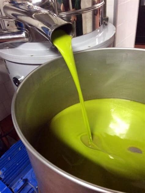 Just pressed olive oil. Things To Know About Just pressed olive oil. 